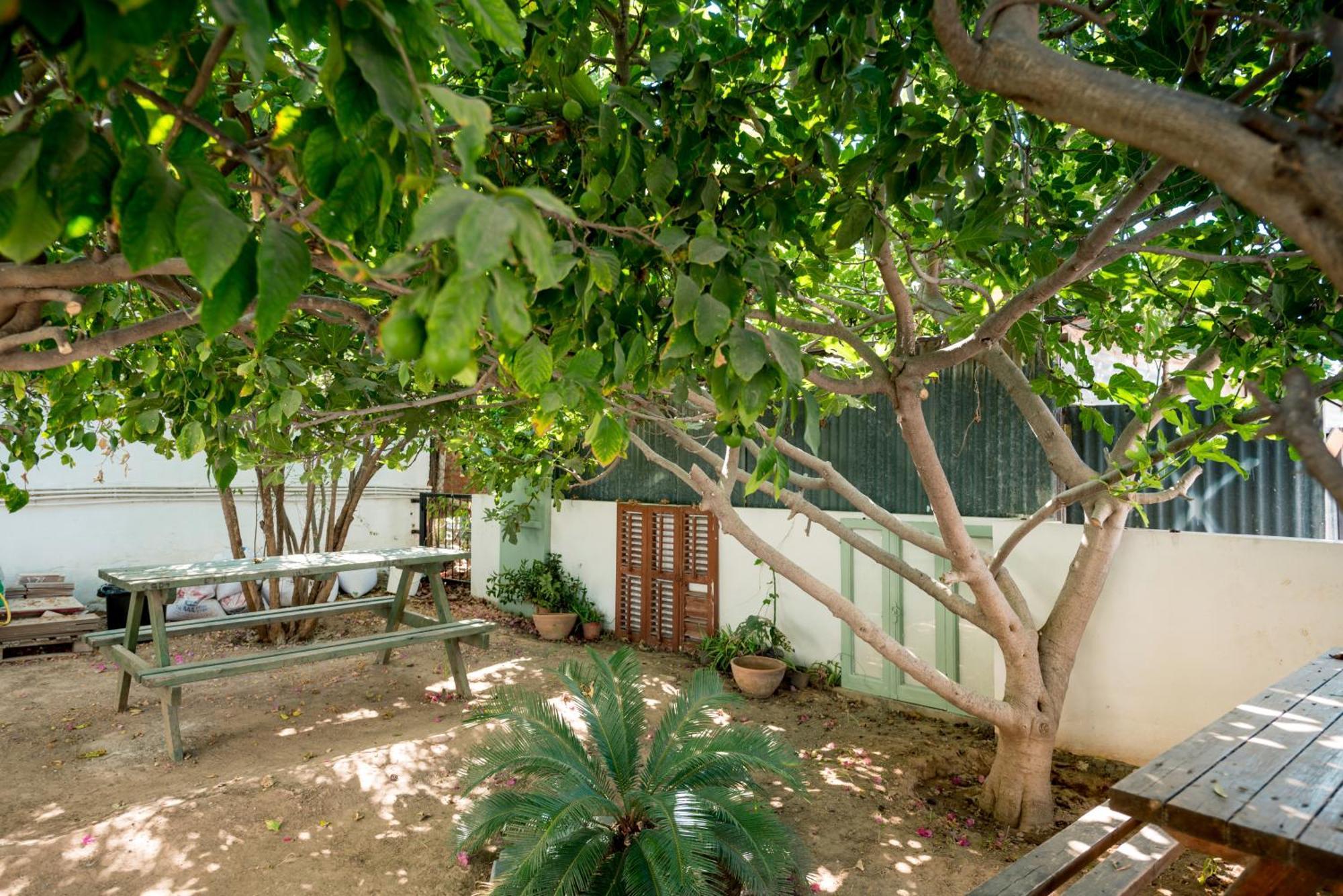 Diamante Guest House-Stone Room Αμμόχωστος Εξωτερικό φωτογραφία