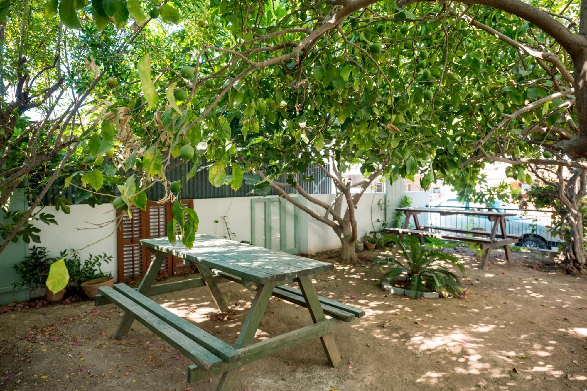 Diamante Guest House-Stone Room Αμμόχωστος Εξωτερικό φωτογραφία